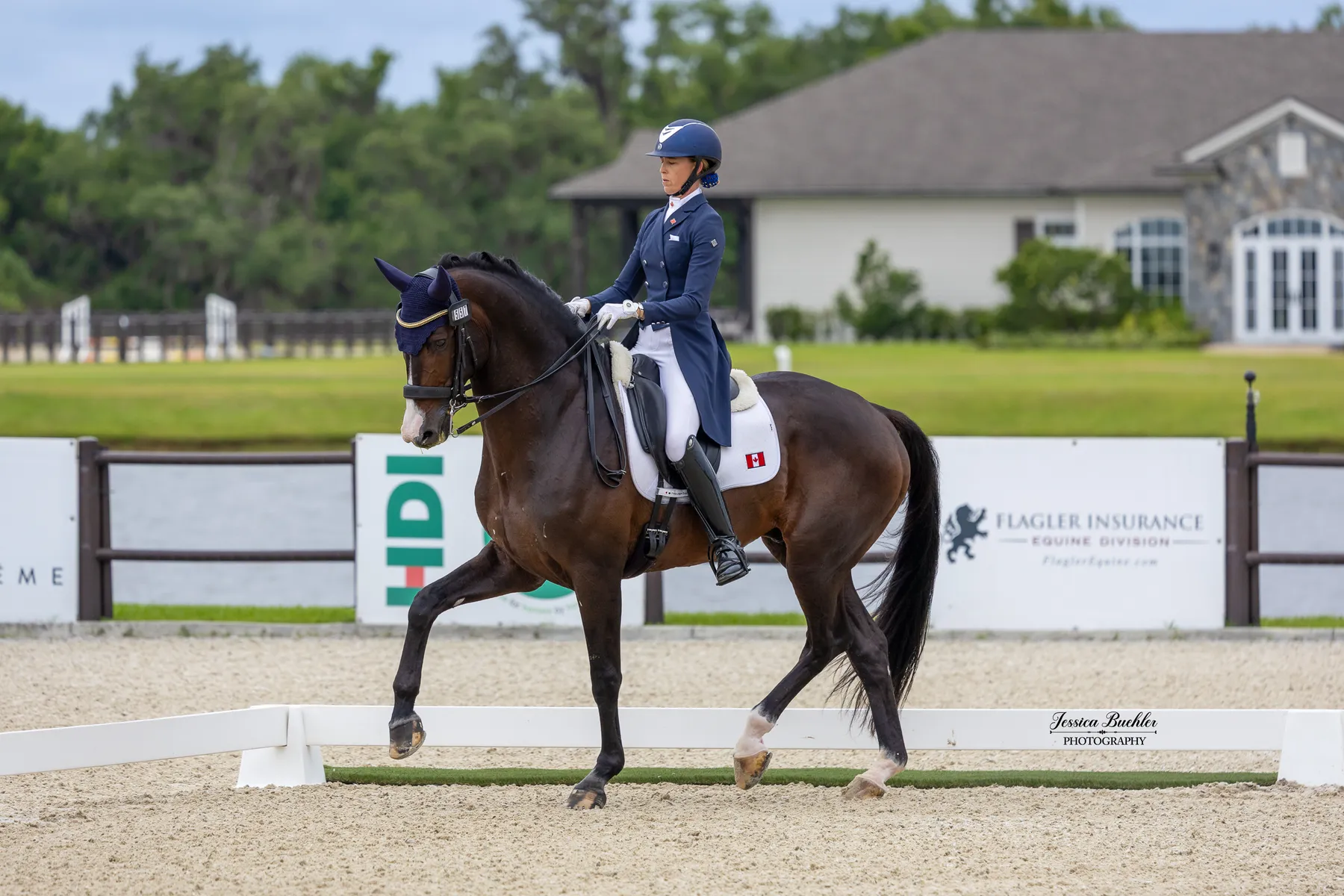 Alexandra Duncan riding Hitmaker to third place in the CDI3 Grand Prix Special at TerraNova