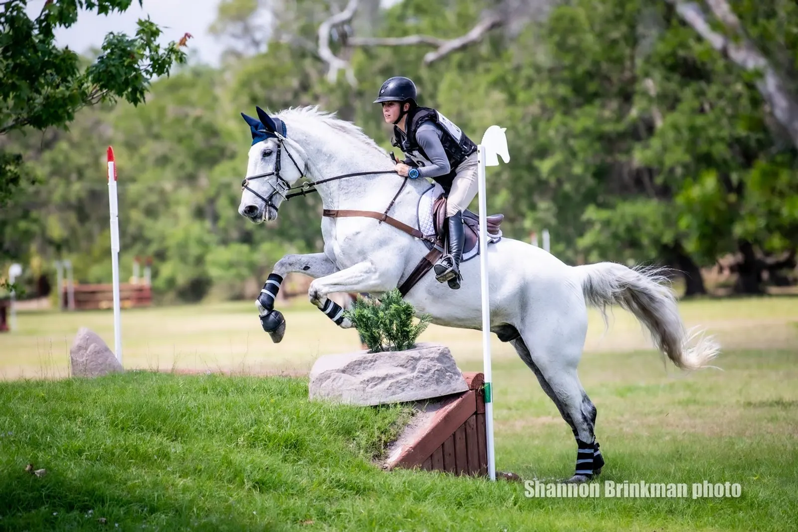 Aline Briot (USA) and Divine Legacy- 26.4
