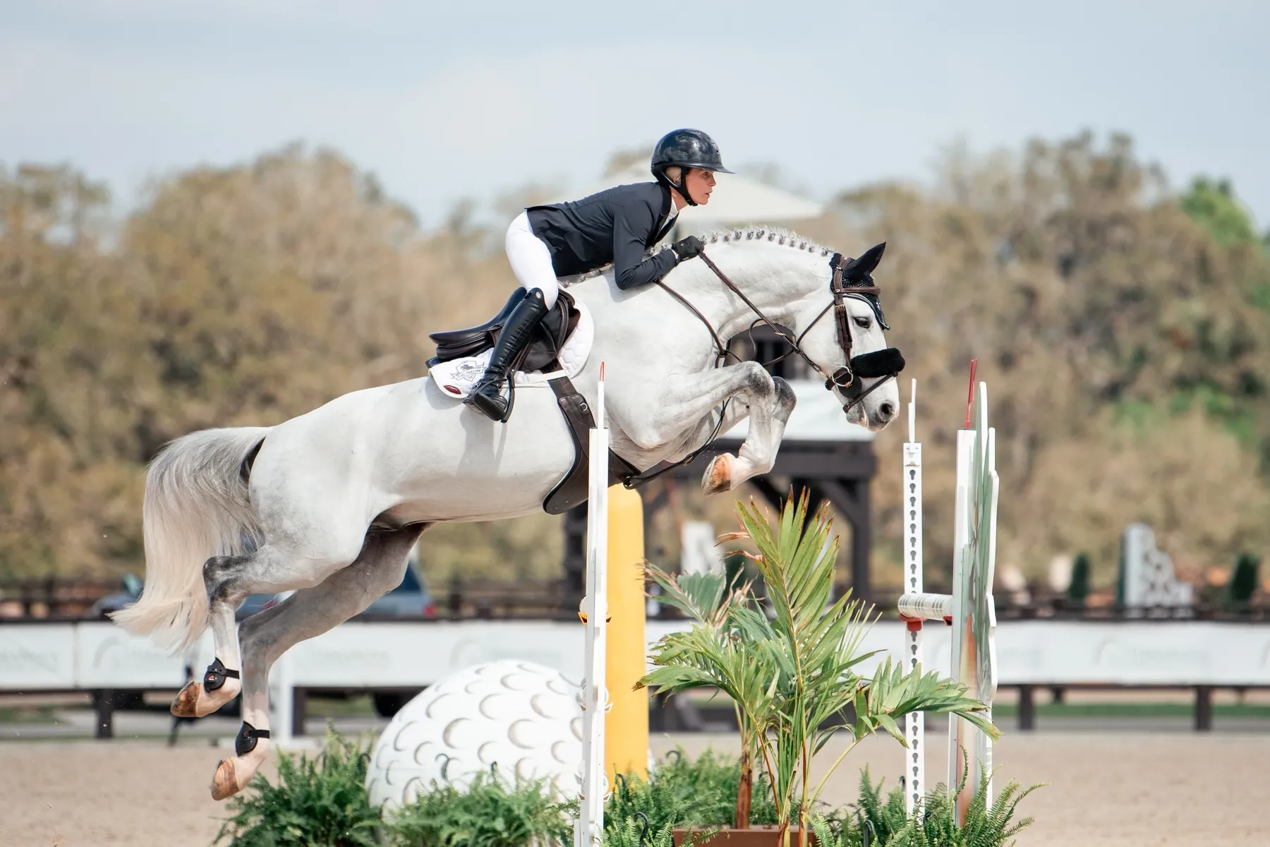 Amanda Derbyshire riding Charlie Be Good Z to win the $20,000 Michael Saunders & Company 1.35m National Prix at TerraNova