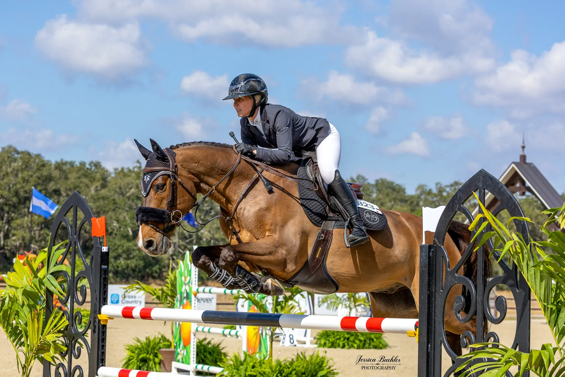 Amanda Derbyshire riding Cornwall BH to victory in the $65,000 Equestrian Services International FEI 1.45m Grand Prix at TerraNova