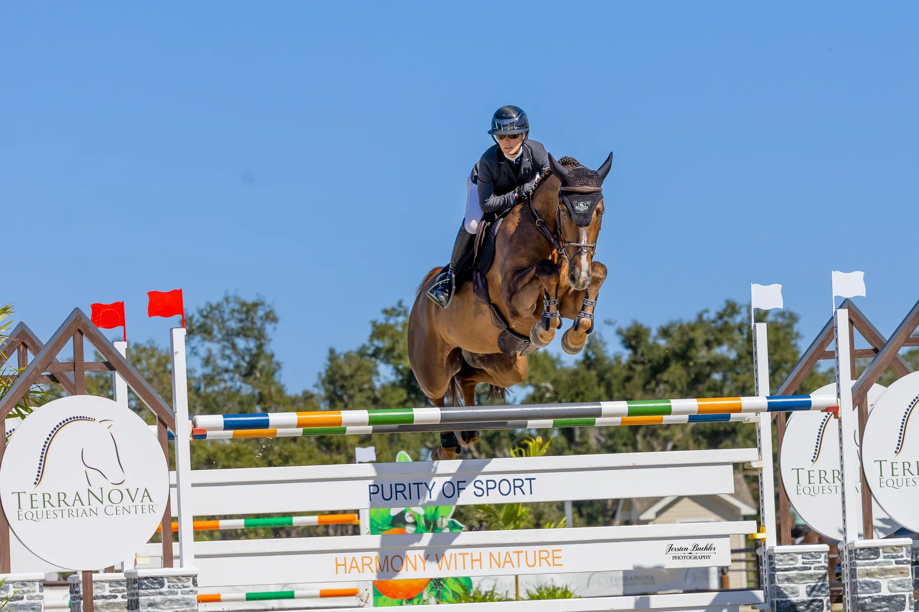 Amanda Derbyshire riding Cornwall BH over a jump in the $65,000 Stephex USA FEI CSI2* Grand Prix at TerraNova
