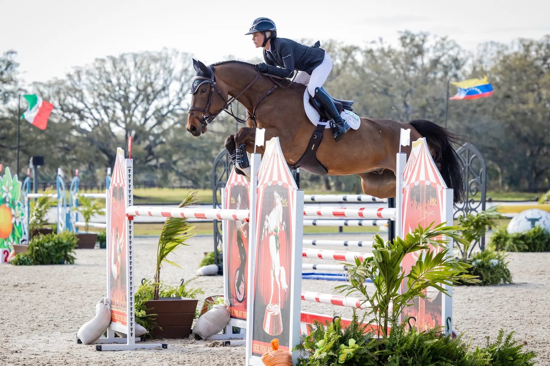 Amanda Derbyshire riding Destine To Be to second in the $32,000 FEI 1.45m Welcome Speed at TerraNova