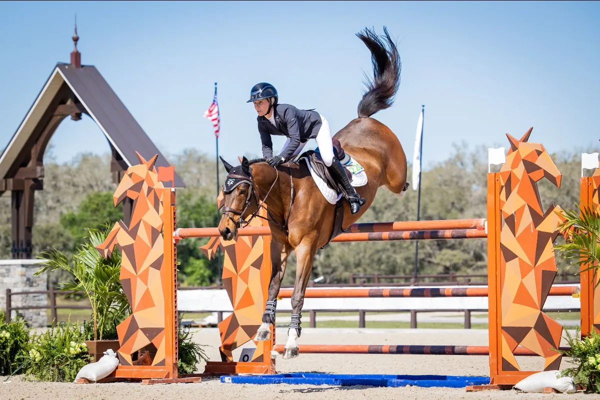 Amanda Derbyshire riding Destine To Be to third in the Howard Leasing FEI 1.45m Grand Prix at TerraNova