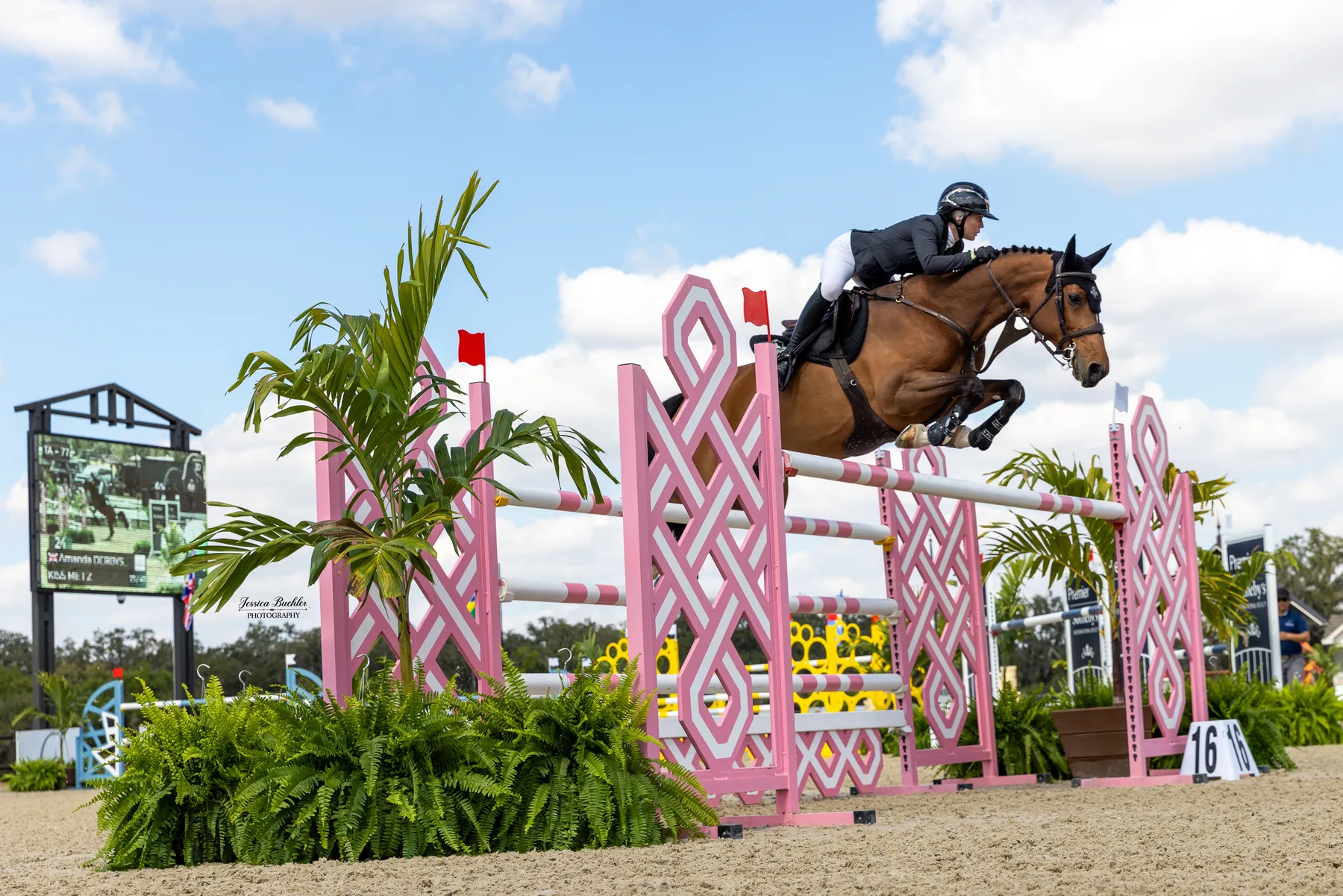 Amanda Derbyshire riding Kiss Me FZ to a third-place finish in the $65,000 FEI 1.45m Grand Prix at TerraNova