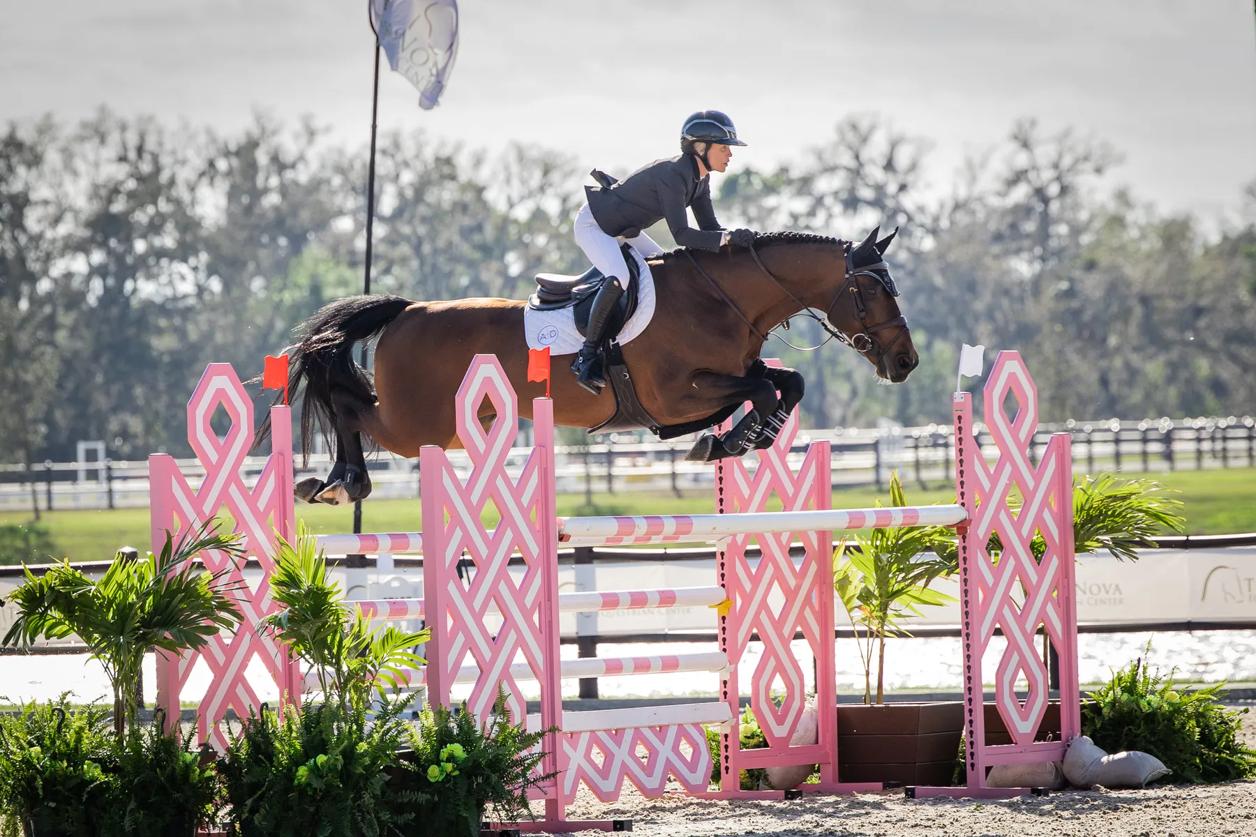 Amanda Derbyshire riding Otto BH to third in the $32,000 FEI 1.45m Welcome Speed at TerraNova