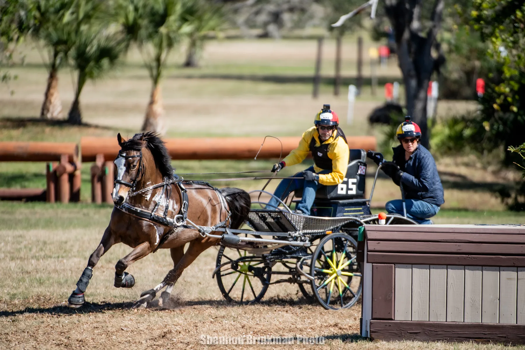 Andrew Marcoux driving Loretta to win the 2-star Single Horse class at the inaugural TerraNova CDE