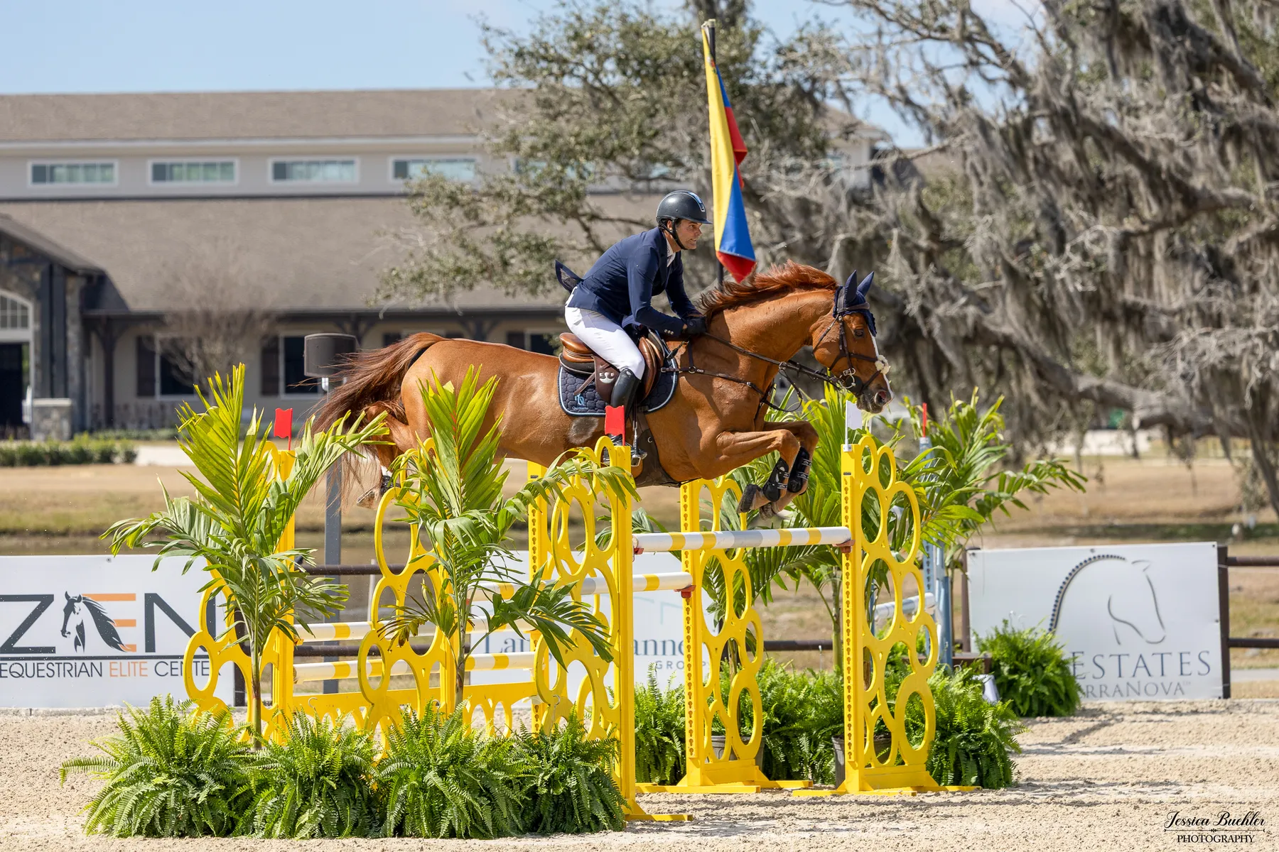 Ansgar Holtgers Jr. riding Caliblue PS in the $65,000 Equestrian Services International FEI 1.45m Grand Prix jump-off at TerraNova