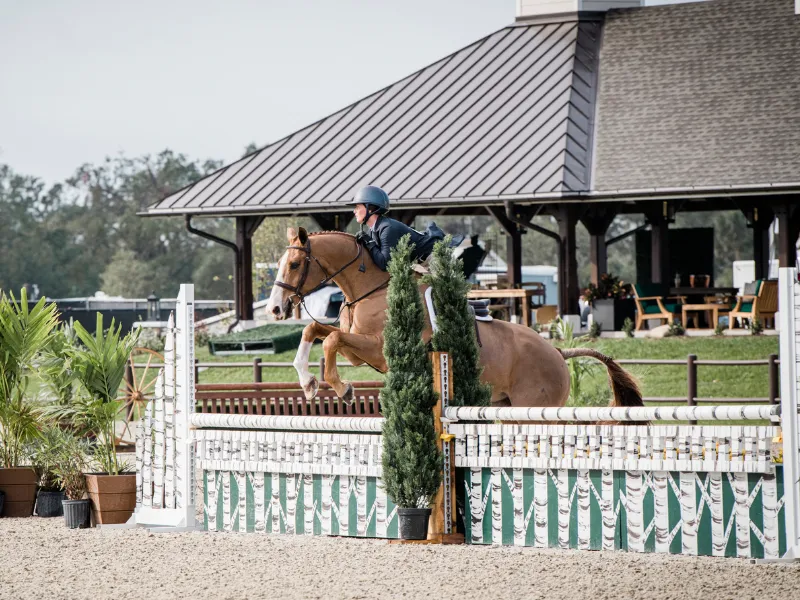 Ashley Foster-Worthington riding Mahalo in the $5,000 USHJA National Hunter Derby at TerraNova