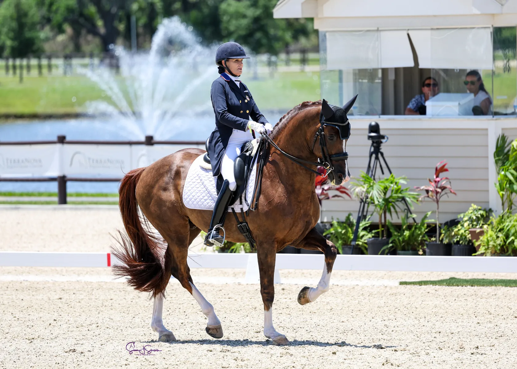 Ashley Holzer and Hansel in the Galati Yacht Sales CDI3* FEI Grand Prix at TerraNova