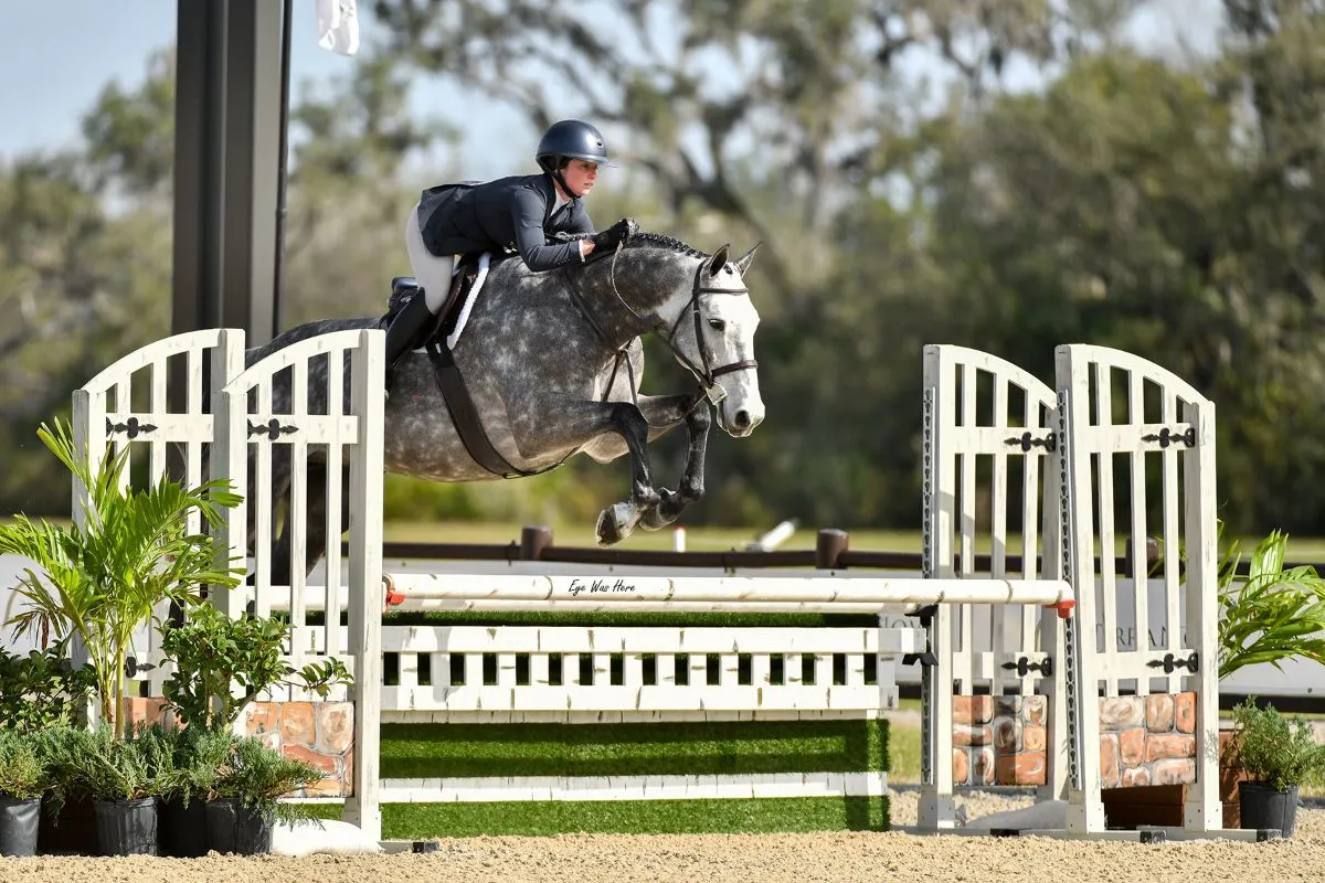 Ashley Worthington riding Lestienne GPH to the top score in the $1,000 USHJA Green Hunter Incentive 3'0"/3'3" at TerraNova