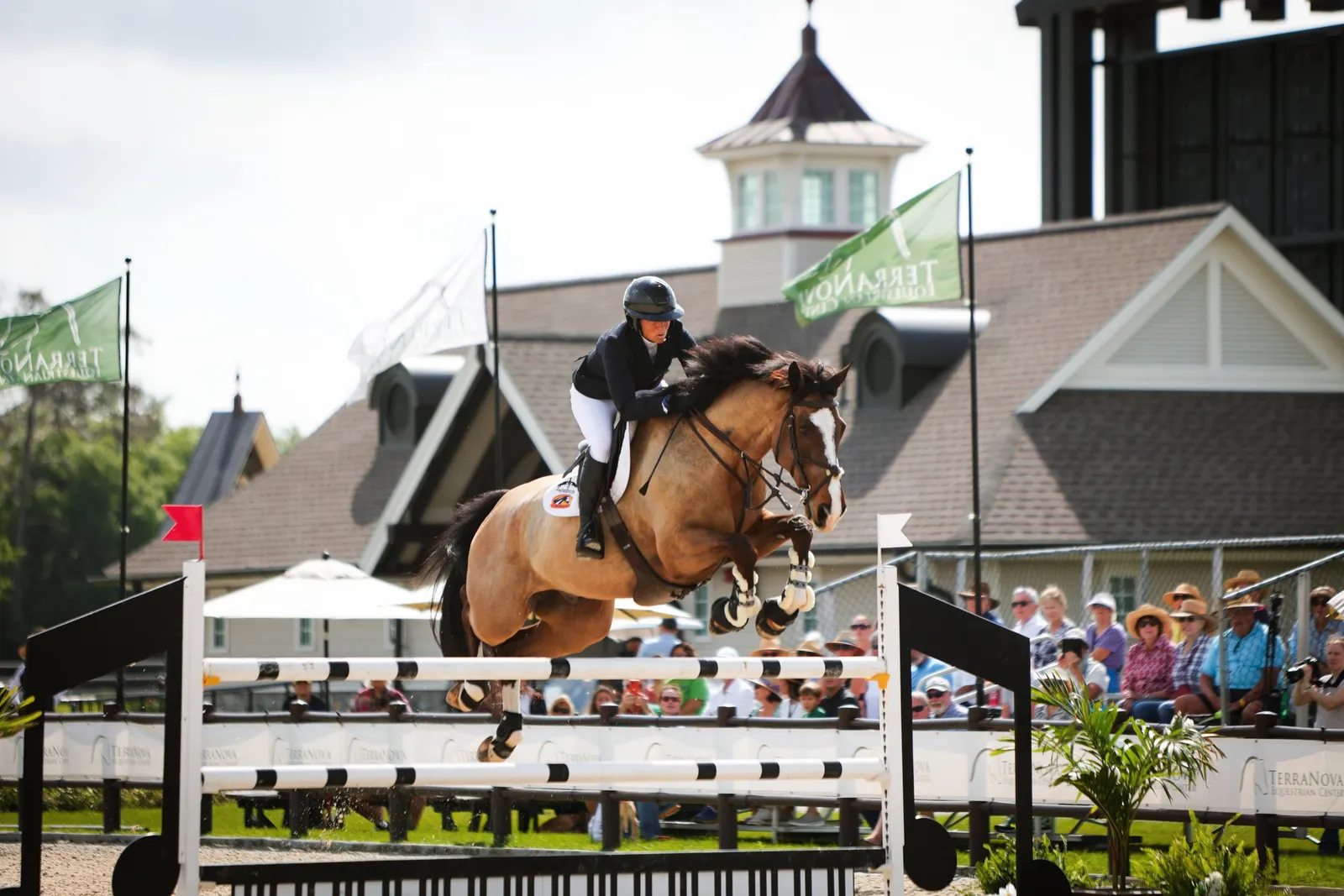 Beezie Madden and Hummer Z clearing a jump in front of spectators in the FEI CSI2* Grand Prix at the TerraNova Winter Series. Photo by EQ Media.