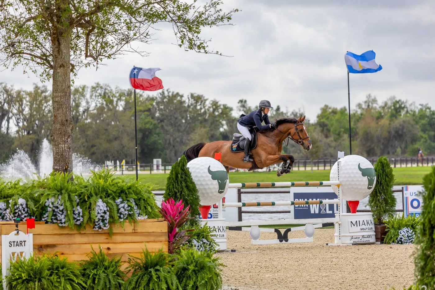 Olympian Beezie Madden riding Micky-Cara in the FEI Welcome Speed at TerraNova