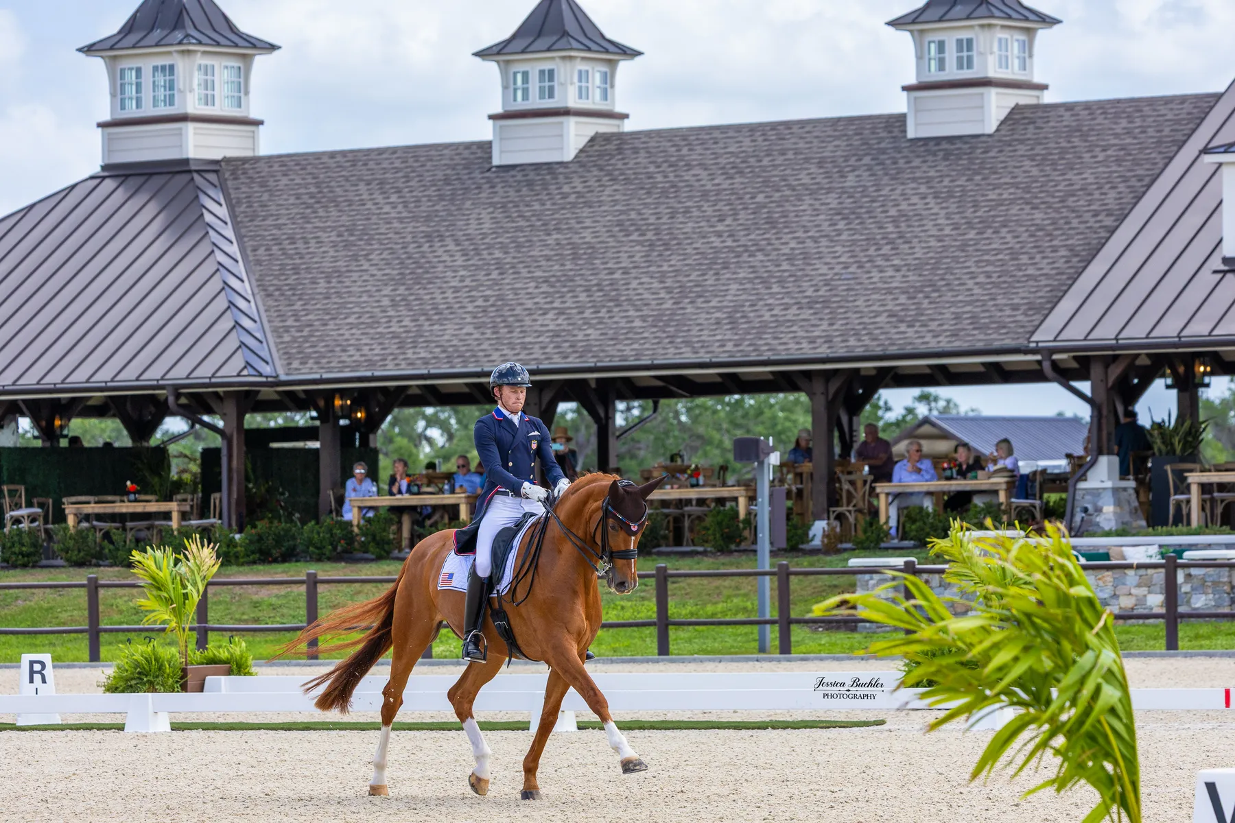 Ben Ebeling riding Bellena in the Akerman LLP CDI3 Grand Prix Special at TerraNova