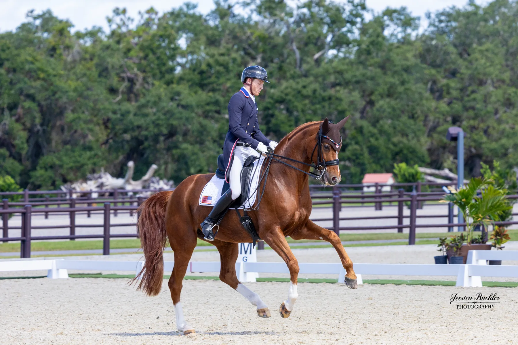 Ben Ebeling riding Bellena in the World Cup Grand Prix Freestyle at TerraNova