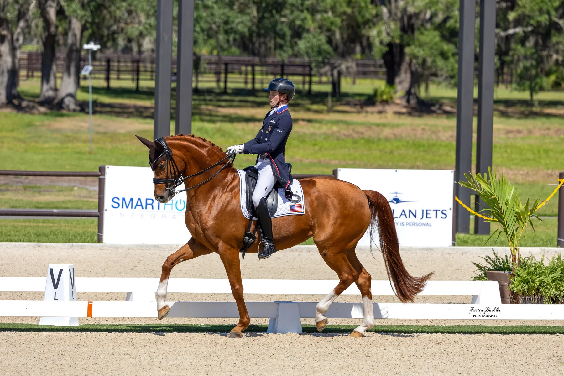 Ben Ebeling riding Bellena in the CDI3 Grand Prix at TerraNova
