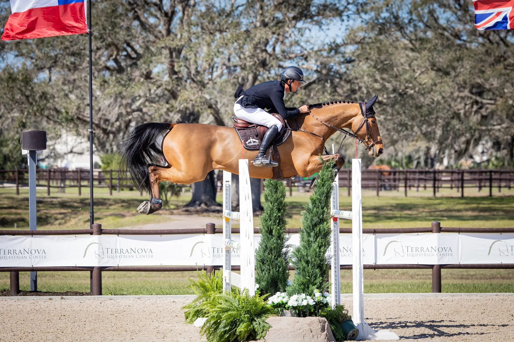 Bertram Allen riding Edison de Hus in the $77,300 FEI 1.45m Grand Prix at TerraNova