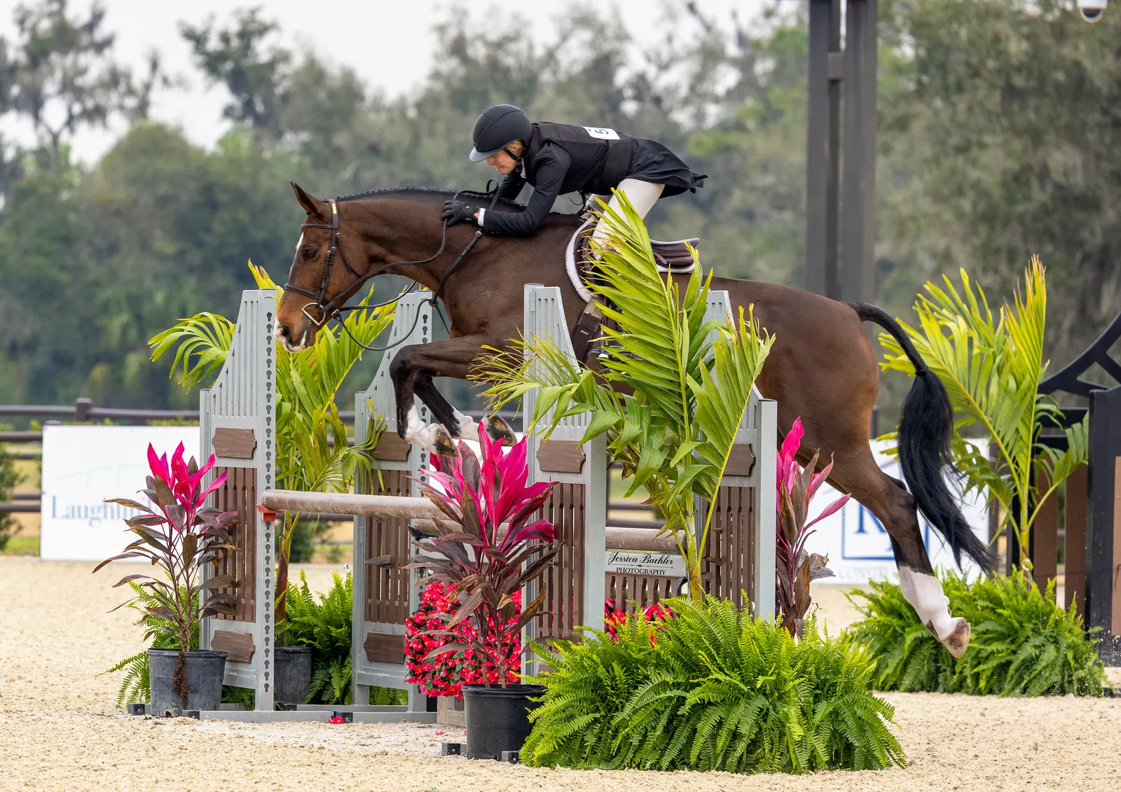 Amateur rider Betsy Aliffi riding over a hunter fence in the Bridleberry Leather Tack Co. $10,000 USHJA National Hunter Derby