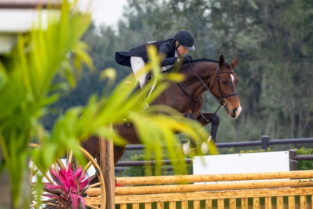 Betsy Aliffi riding Talk To Me over a hunter fence to win the $10,000 USHJA National Hunter Derby at TerraNova