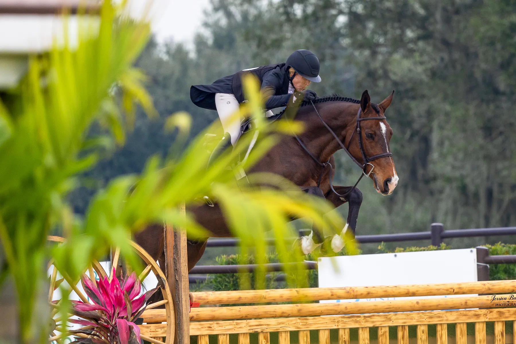 Betsy Aliffi riding Talk To Me over a hunter fence to win the $10,000 USHJA National Hunter Derby at TerraNova