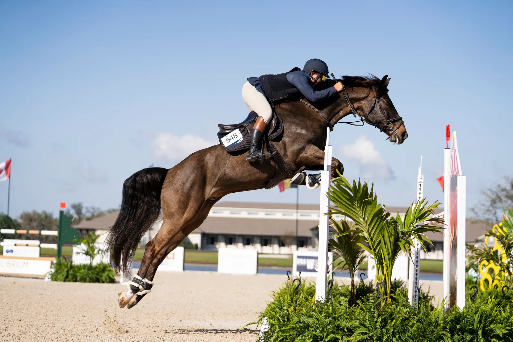 Brooke Cudmore riding Ferry van den Hoogeweg in the $500 Horse Hub TerraNova 2'6 Hunter Derby