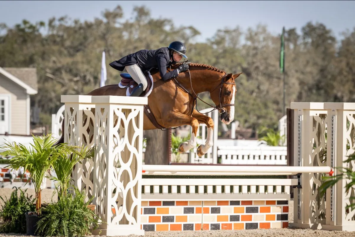 Brooke Cudmore riding So They Say to second in the $5,000 USHJA National Hunter Derby at TerraNova