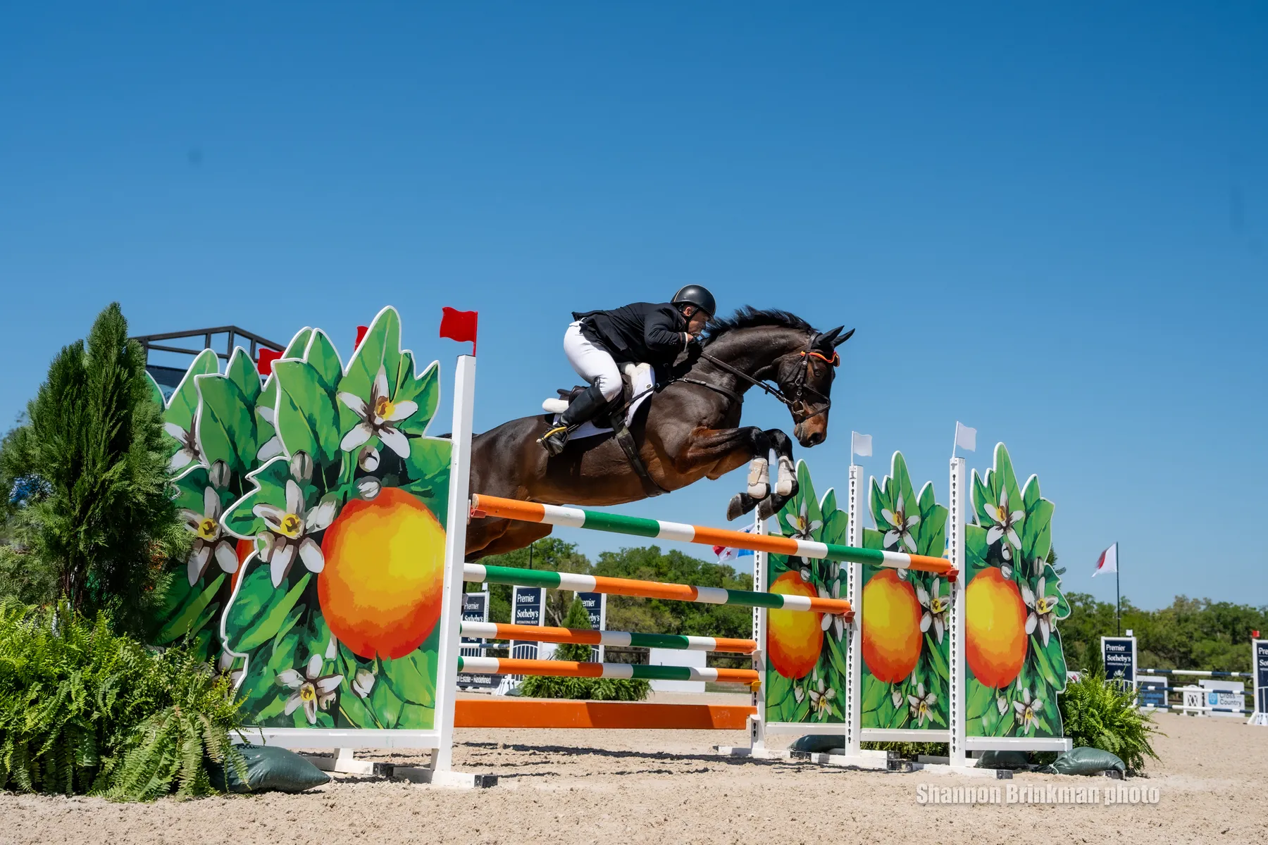Bruce Davidson Jr. riding Cooley Candyman in the show jumping phase at The Event at TerraNova