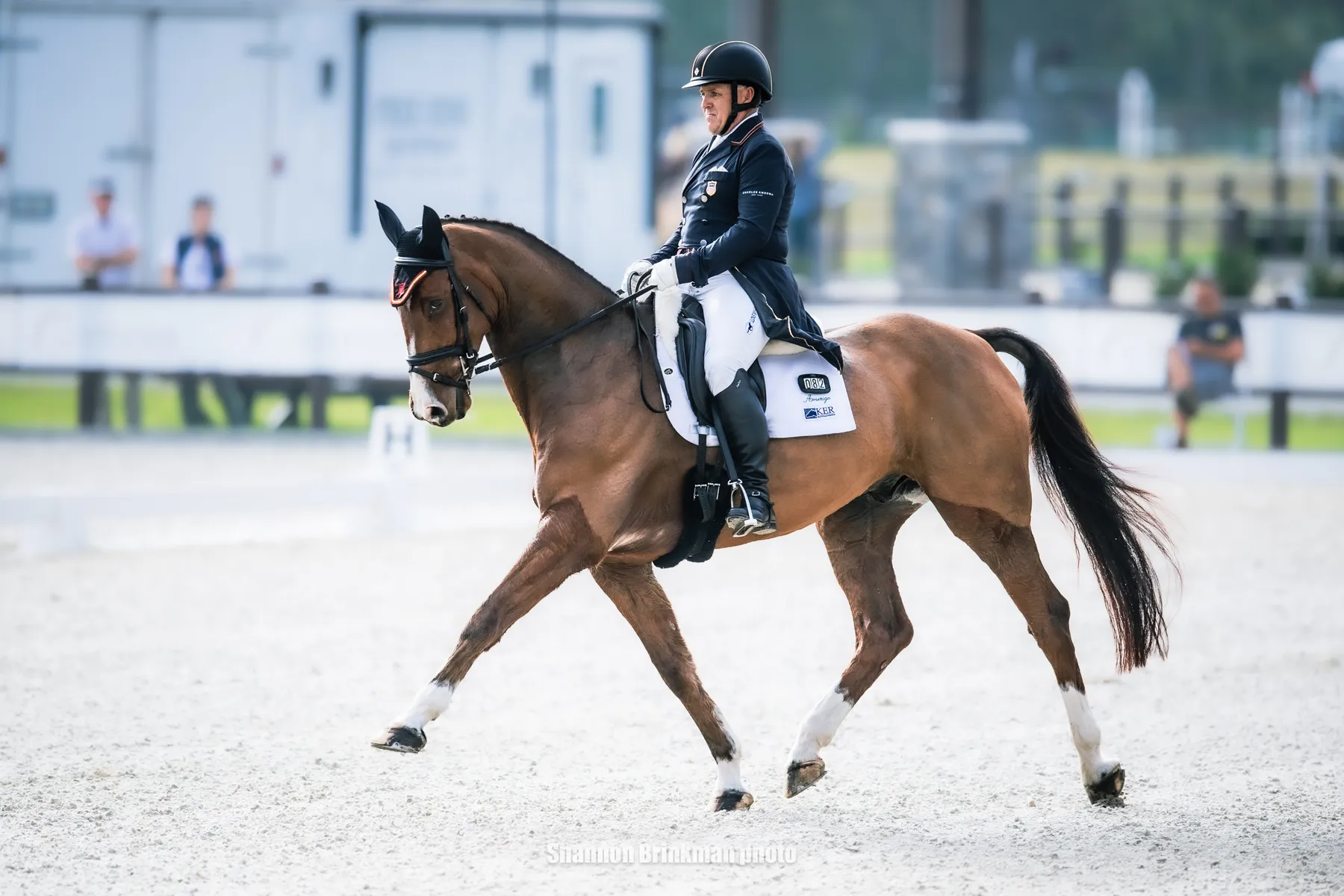 Bruce Davidson Jr. riding Erroll Gobey in the Galati Yacht Sales CCI4*-L at TerraNova