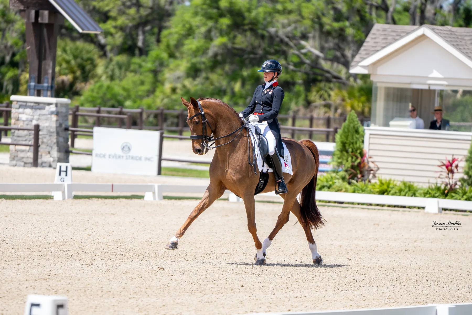 Camille Carier Bergeron riding Finnländerin to second place in the CDI3 Grand Prix Freestyle at TerraNova