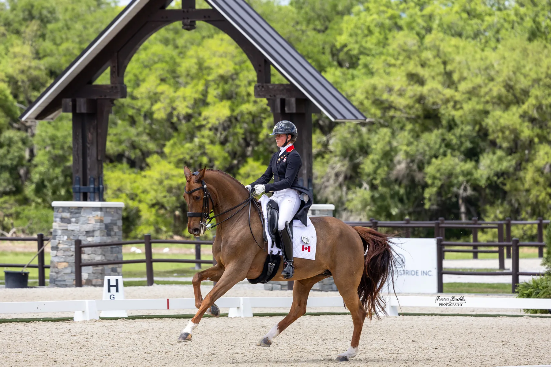 Camille Carier Bergeron riding Finnländerin to third place in the CDI3 Grand Prix at TerraNova