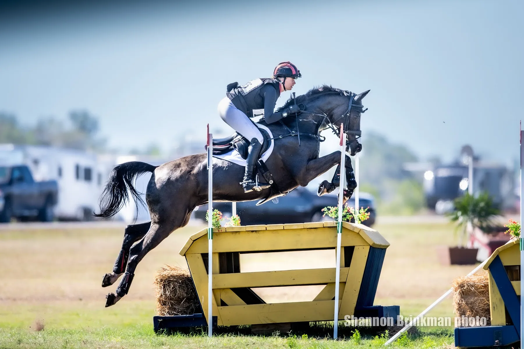 Caroline Martin riding HSH Blake at The Estates at TerraNova CCI4*-S