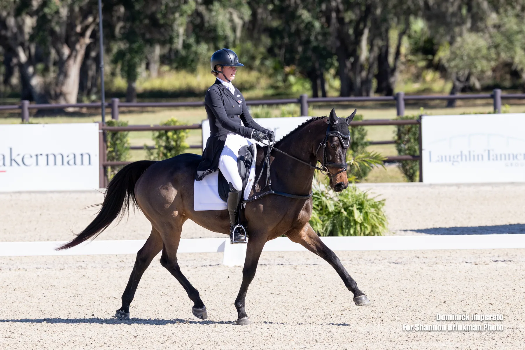 Caroline Pamukcu riding HSH Sebastian in the CCI3*-L dressage at The Event at TerraNova