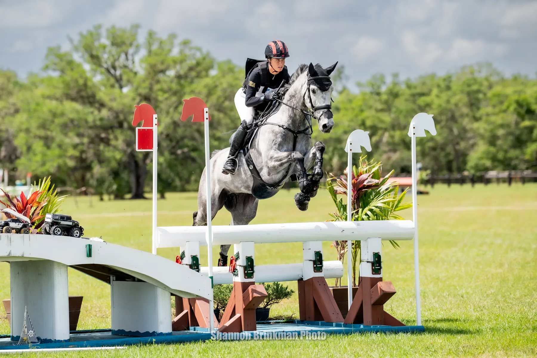Caroline Pamukcu riding HSH Talbots Hill to second in the CCI3*-S at The Event at TerraNova