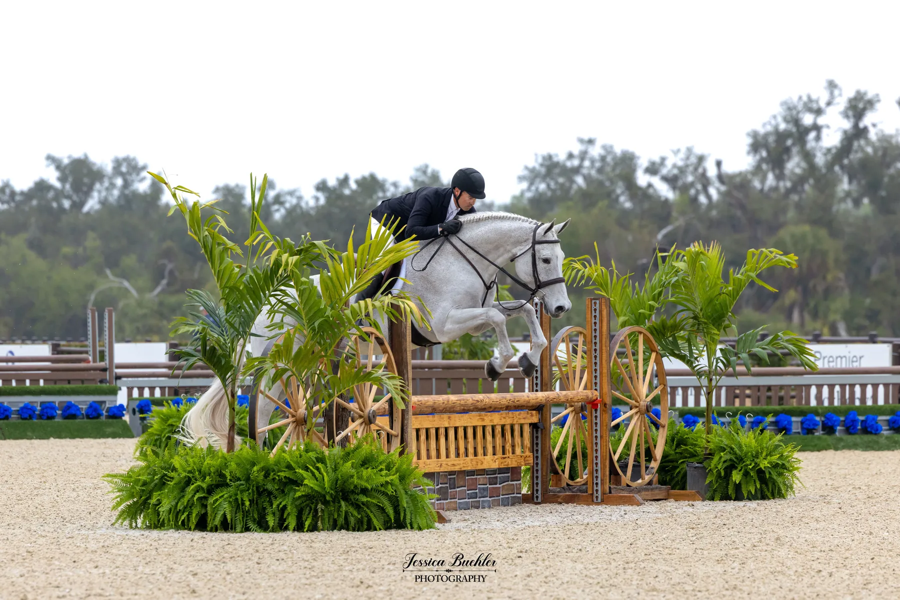 Cayden Hill riding Gaston in the $5,000 USHJA National Hunter Derby presented by SWFL Camping Rentals at TerraNova