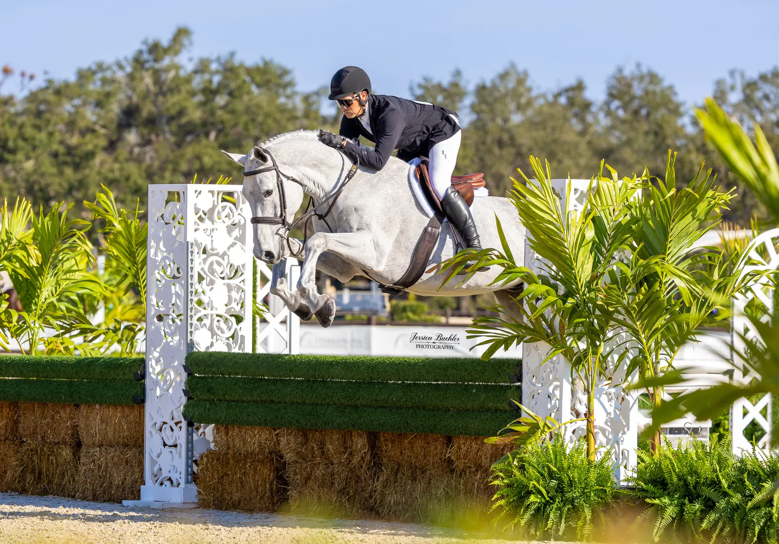 Cayden Hill riding Gaston over a hunter fence to win the $5,000 USHJA National Hunter Derby at TerraNova