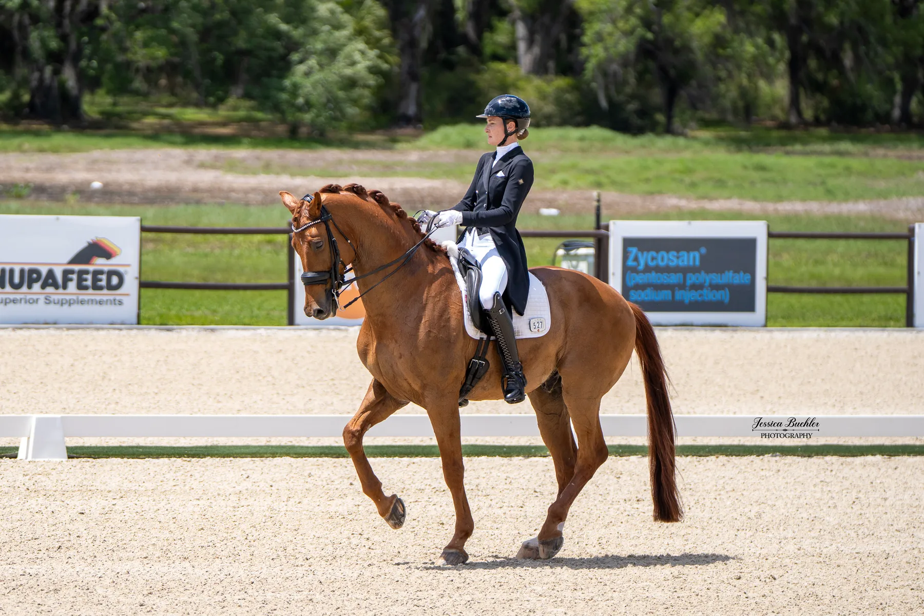 Claire Darnell riding Harrold S to third place in the CDI3 Grand Prix Freestyle at TerraNova