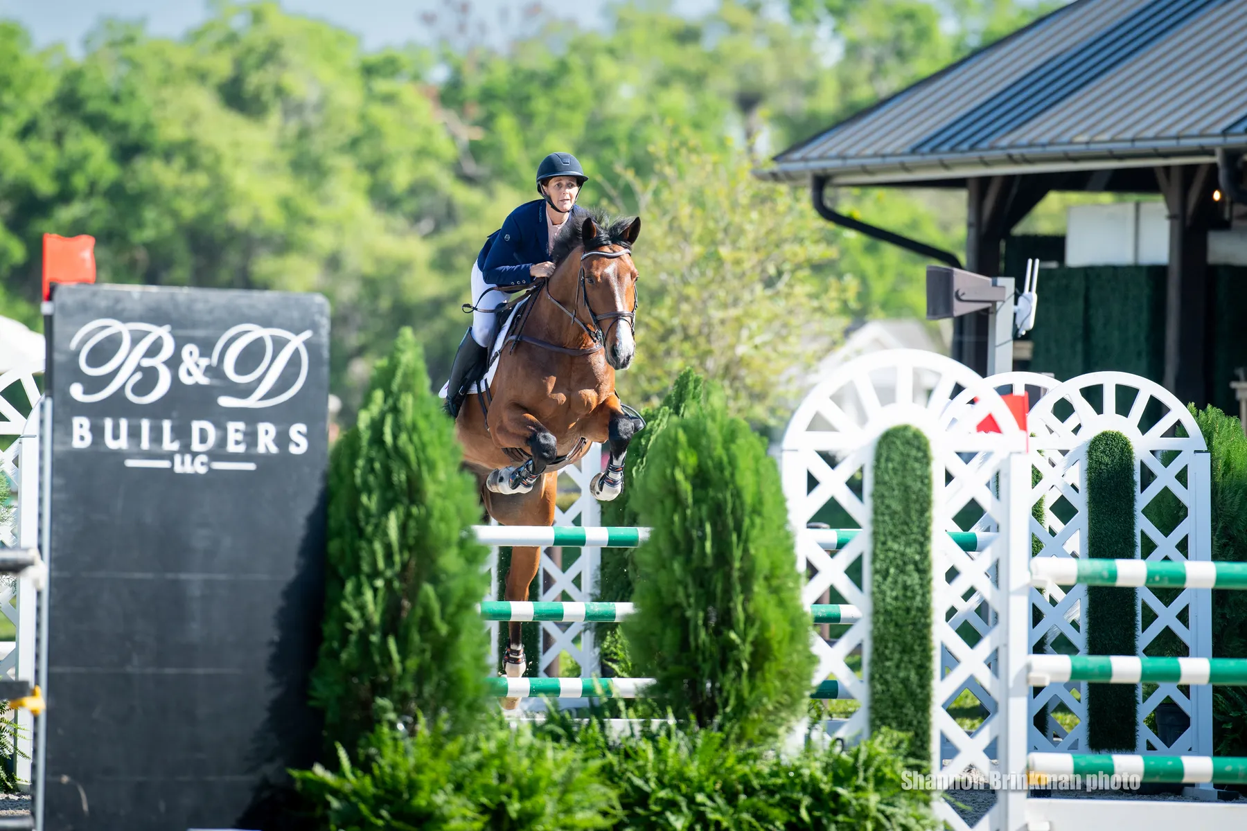 Colleen Loach riding Chiaro Z Excalibur in the show jumping phase at The Event at TerraNova
