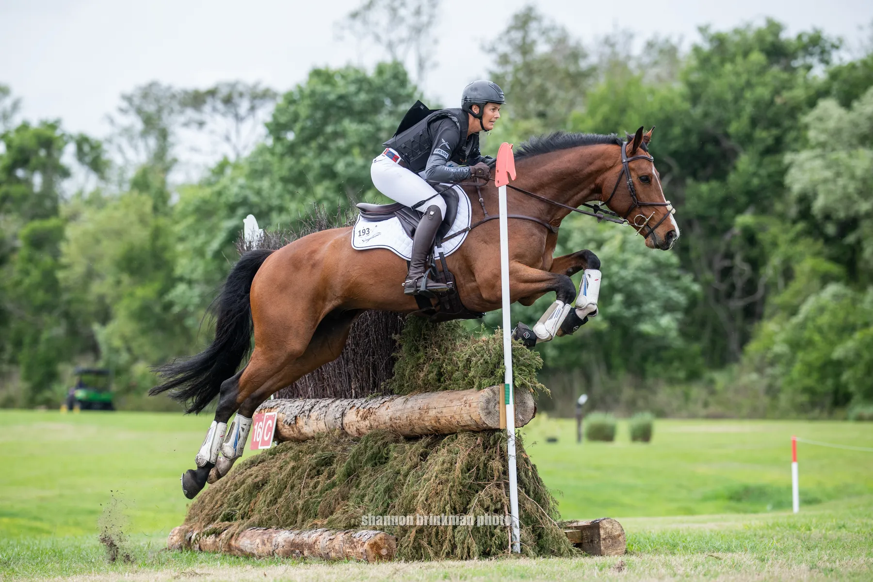 Colleen Loach riding Chiaro Z Excalibur on cross-country at The Event at TerraNova