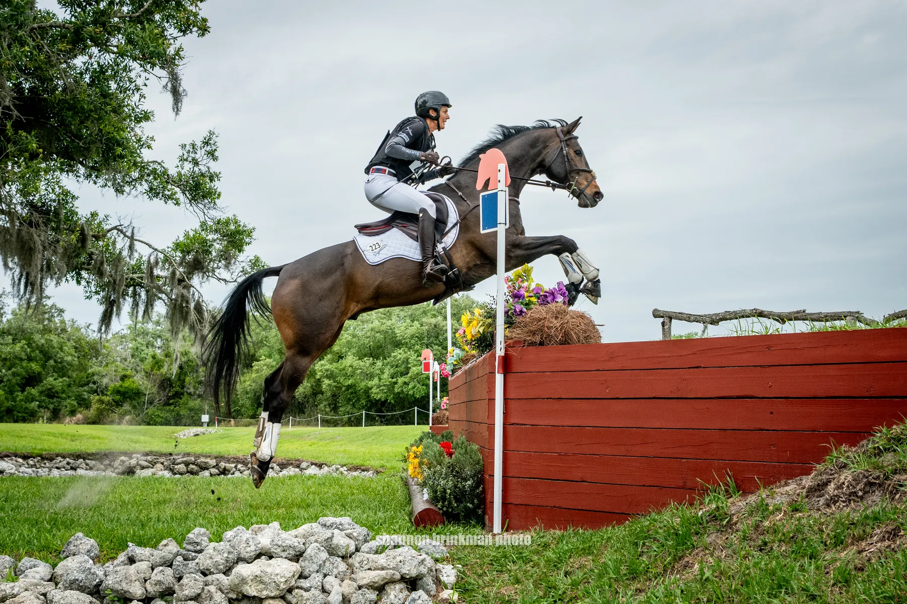 Colleen Loach riding FE Golden Eye on cross-country at The Event at TerraNova