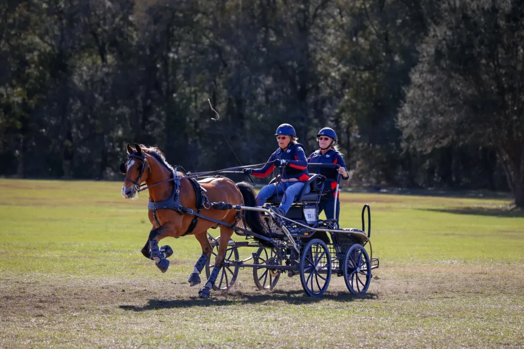 A single horse and carriage on the marathon course ahead of the inaugural Combined Driving at TerraNova competition