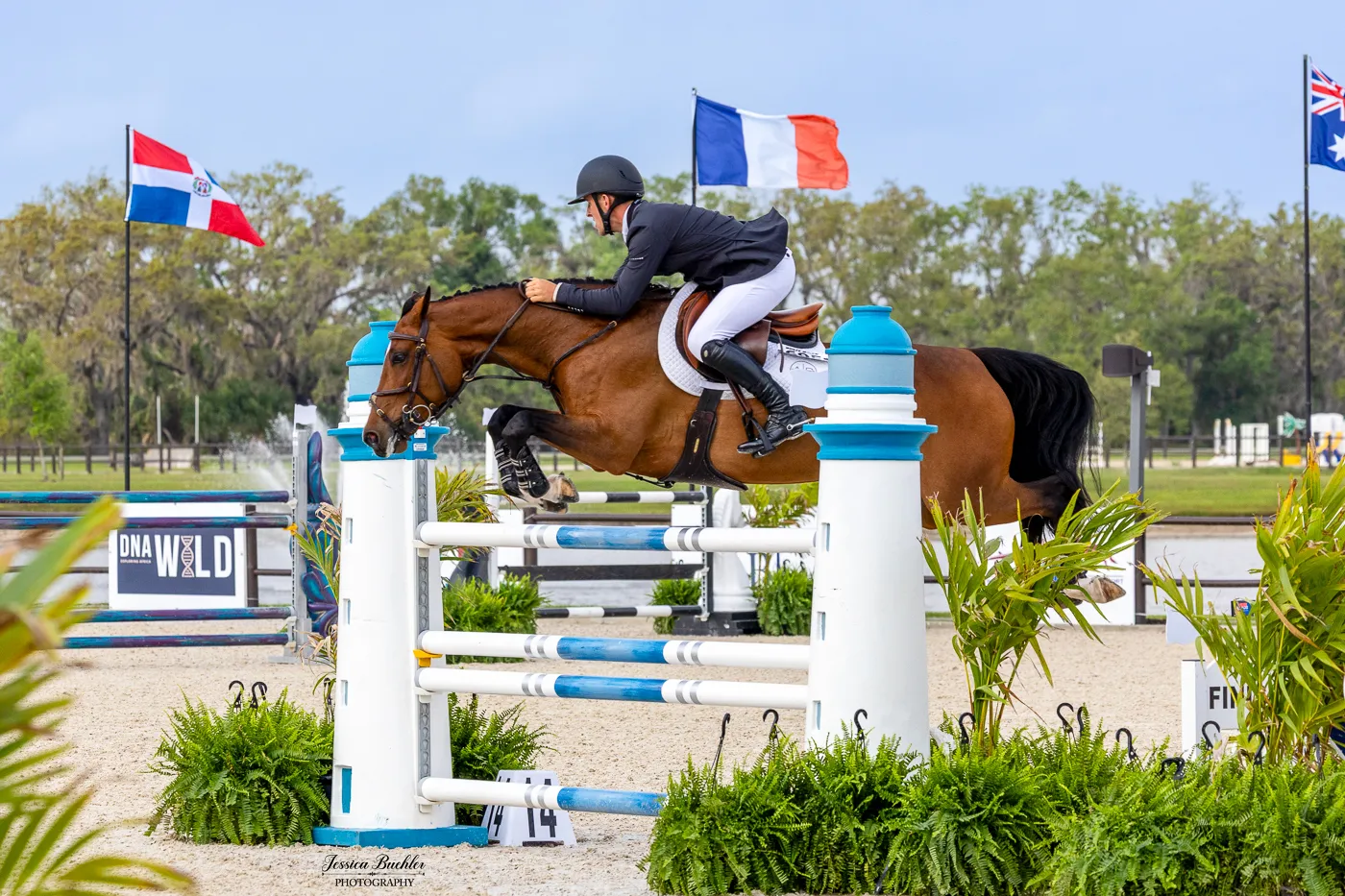 Dan Geaney riding Vogue TW to the runner-up position in the TerraNova Prix