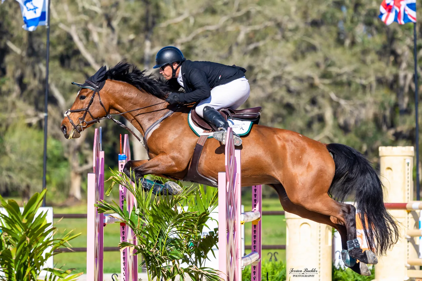 Dan Urban riding Qatar in the $20,000 Marsh & McLennan TerraNova Prix