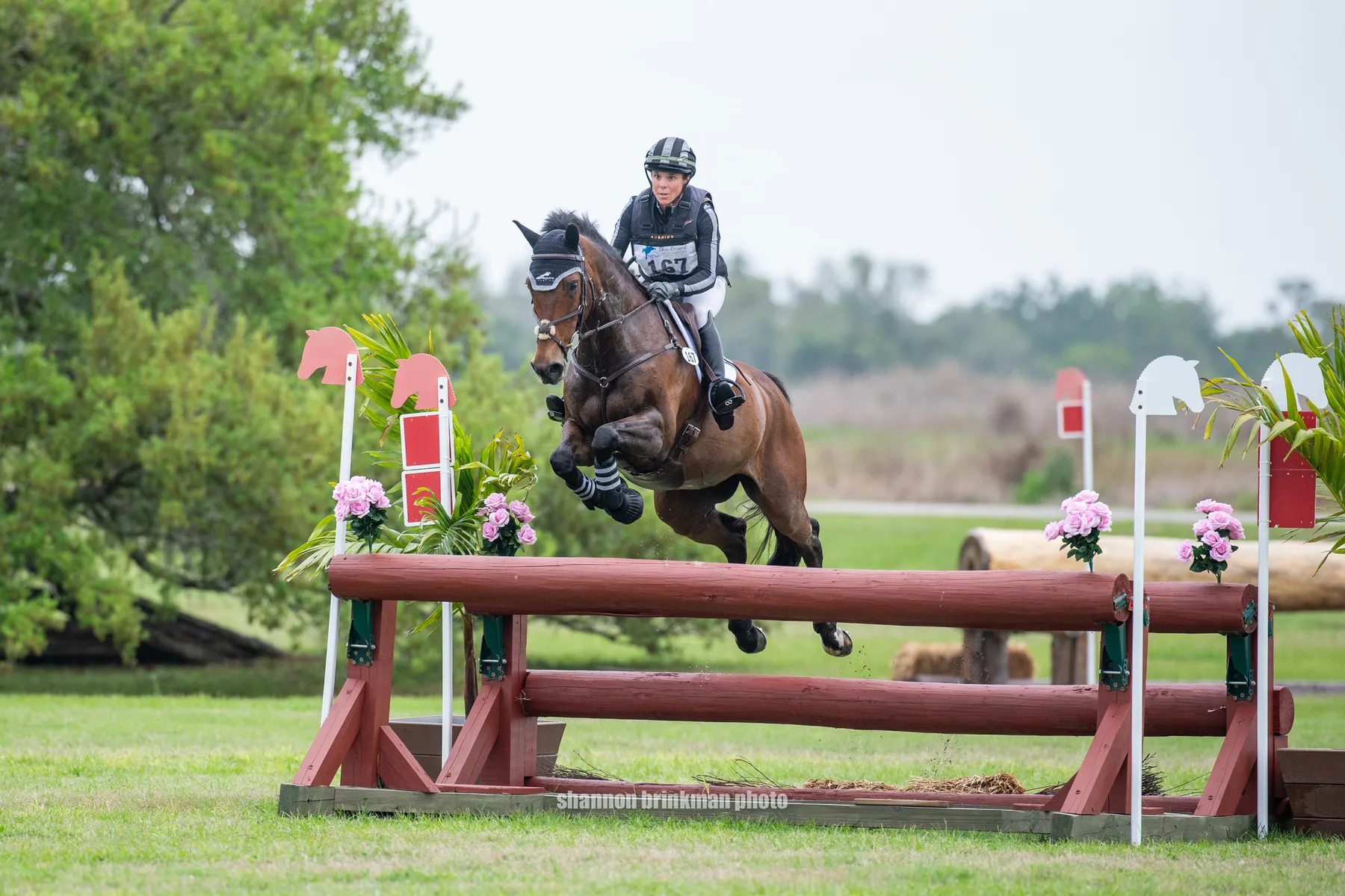 Dani Sussman riding Jos Bravio on cross-country at The Event at TerraNova