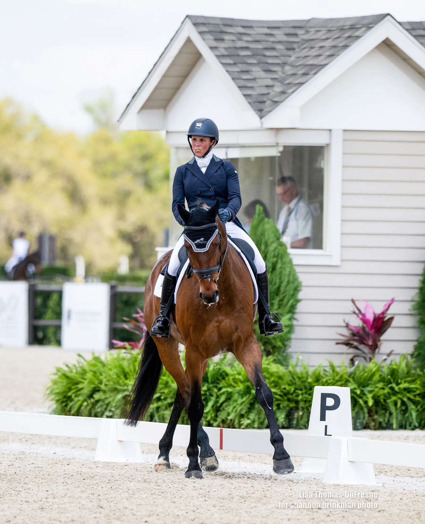 Dani Sussman riding Watervalley Royal Guy in the dressage phase at The Event at TerraNova