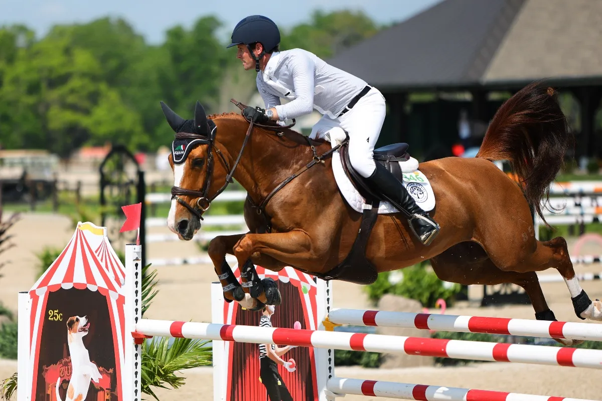 Darragh Kenny riding Serendepety to third in the Galati Yacht Sales FEI 1.45m Welcome Speed at TerraNova
