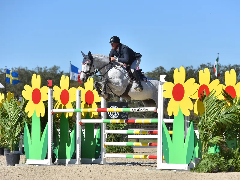 David Jennings riding Madeira SCF to second place in the $10,000 Welcome Stake at TerraNova