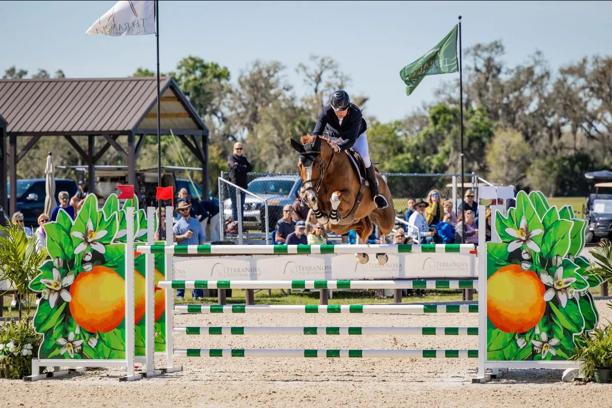 Dermott Lennon riding King Kannan GP to second in the $65,000 Howard Leasing FEI 1.45m Grand Prix at TerraNova