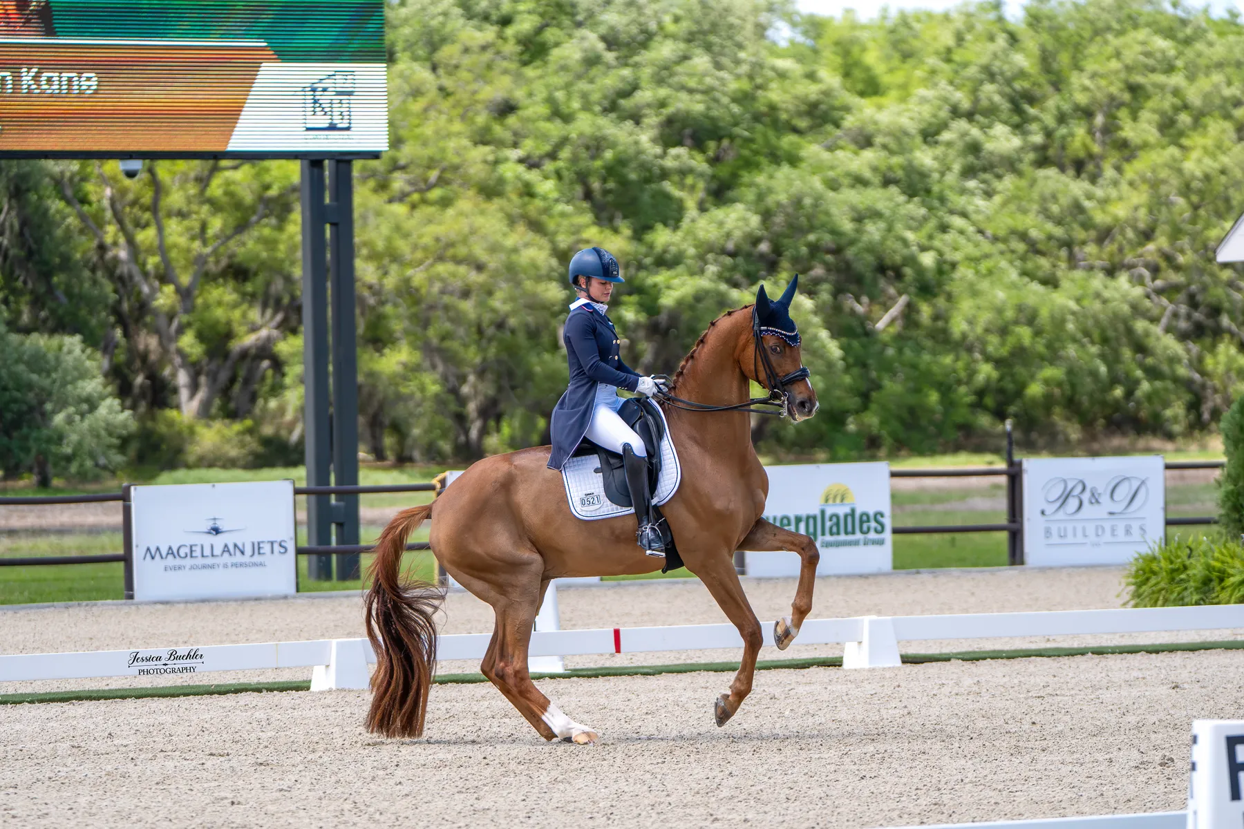 Devon Kane riding Vamos to a personal best in the CDI3 Grand Prix Freestyle at TerraNova