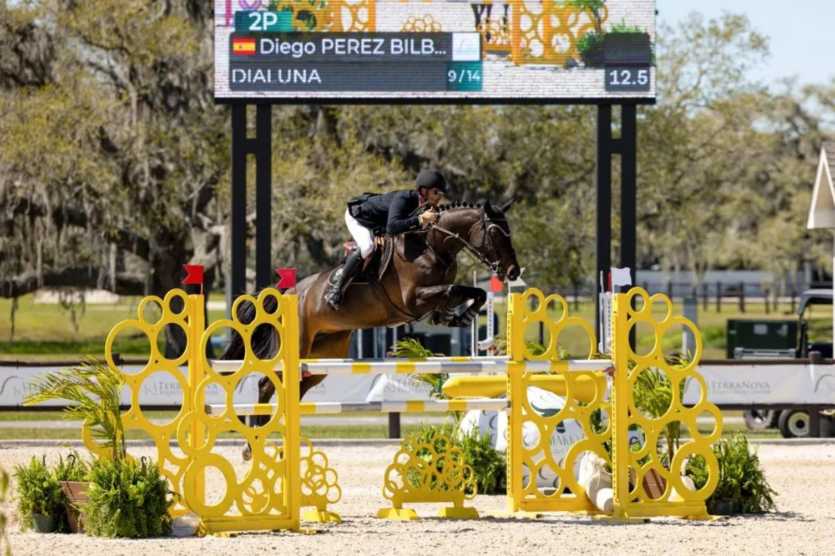 Diego Perez Bilbao riding Dialuna to third in the $20,000 The Estates at TerraNova 1.35m National Prix