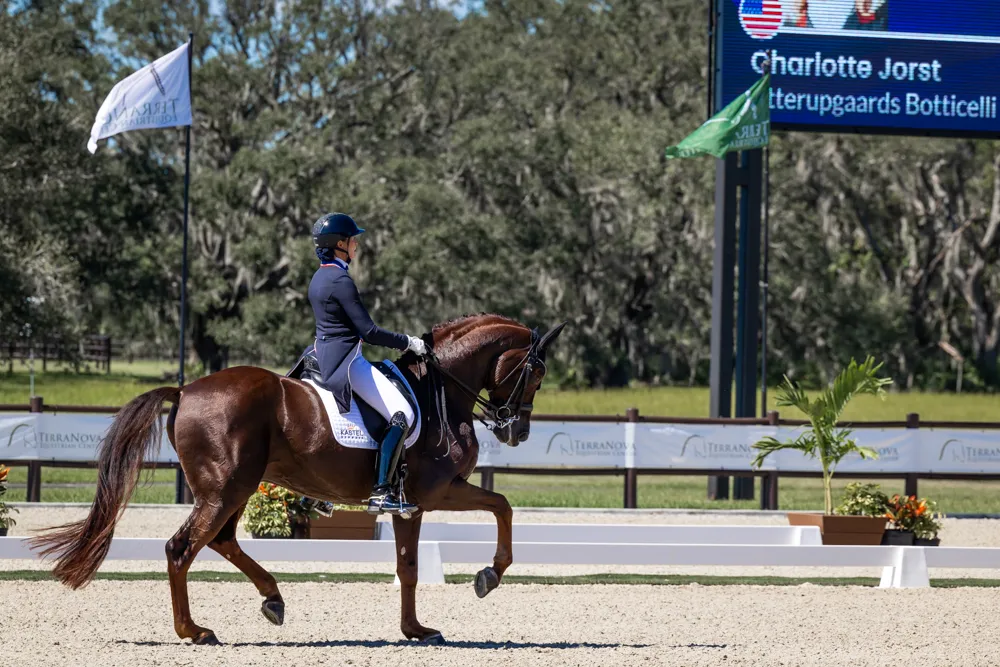 Grand Prix dressage action at the 2023 TerraNova Dressage II CDI3*/CDI-W