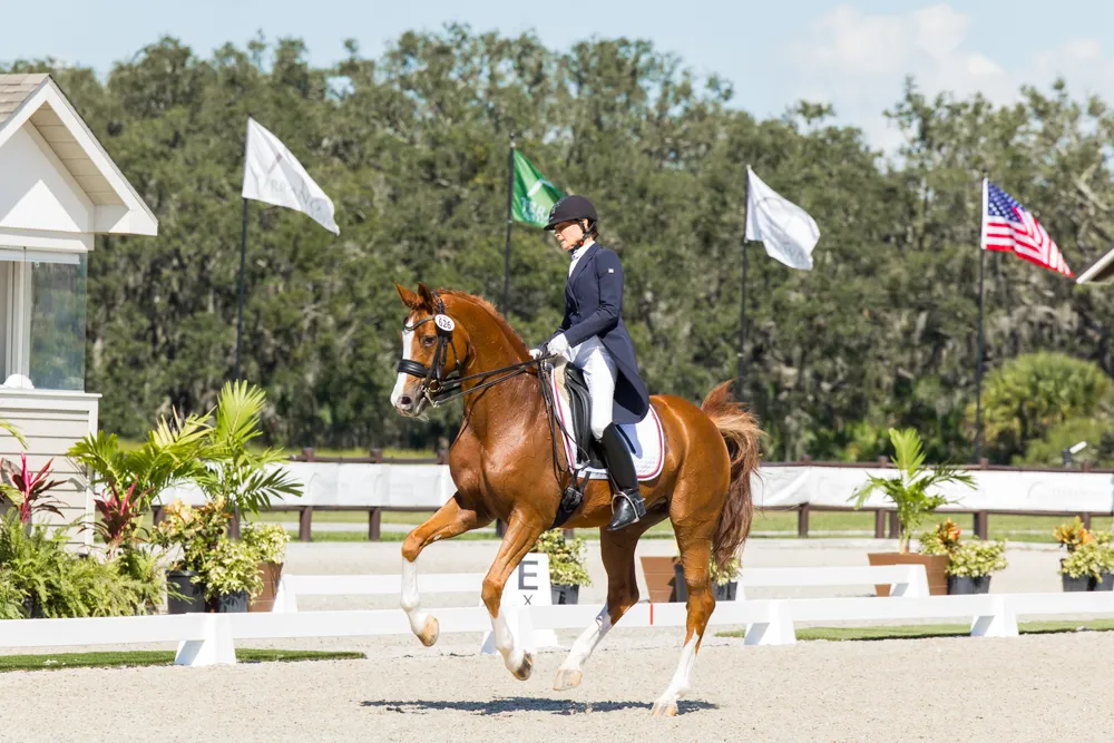 Grand Prix dressage action at the 2023 TerraNova Dressage II CDI3*/CDI-W